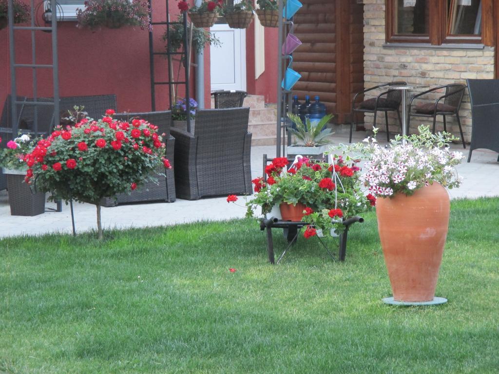 Vila Boska Palić Zewnętrze zdjęcie