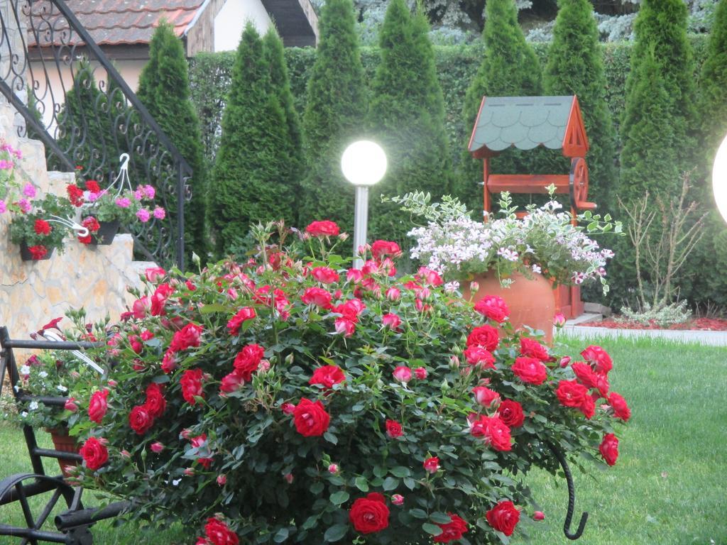 Vila Boska Palić Zewnętrze zdjęcie